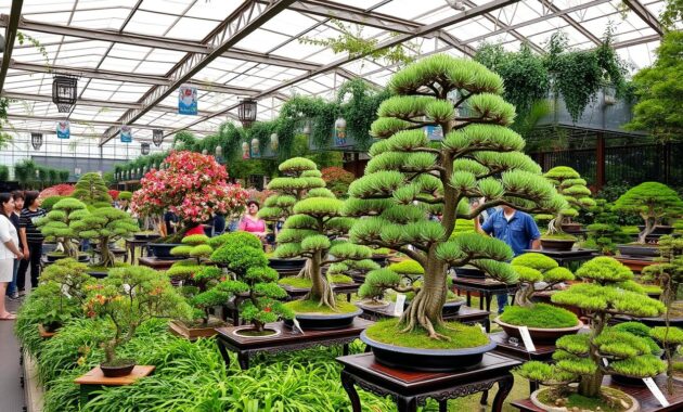 pameran bonsai